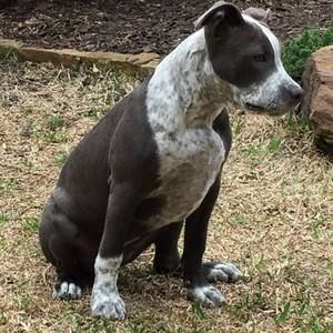 Meet your Posher, Seth